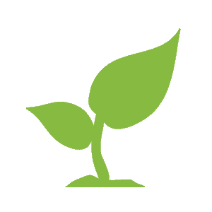 Environmental benefits of using timber in construction